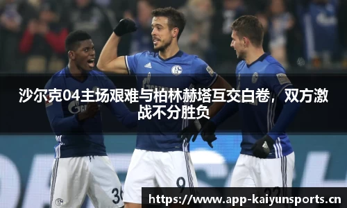 开云体育官网