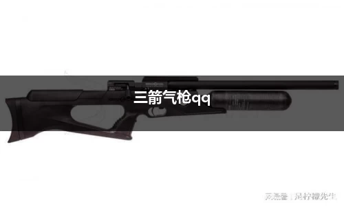 三箭气枪qq