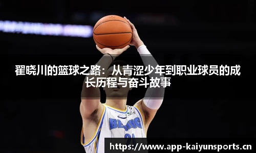 开云体育官网