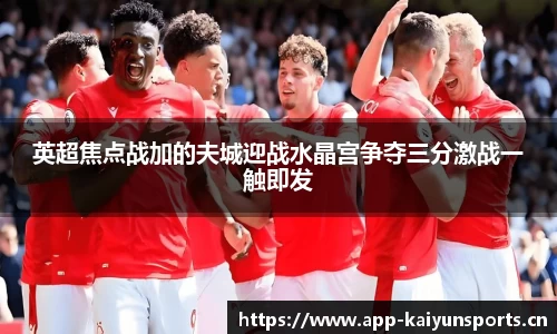开云体育官网